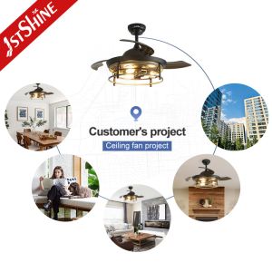 42 inches Invisible Blade Ceiling Fan Farmhouse Style With Light