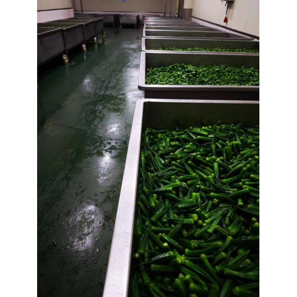 SS304 Ochro Chips / Potato Chips Frying Machine With Original Color Remained