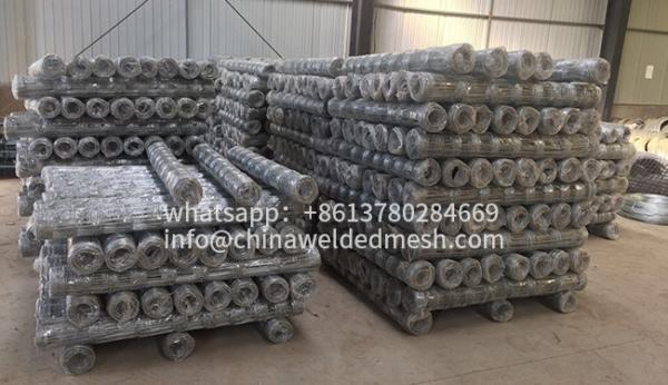 HUILONG Hinge Joint Wire Mesh , Farming Fencing Galvanised Wire Height 100CM