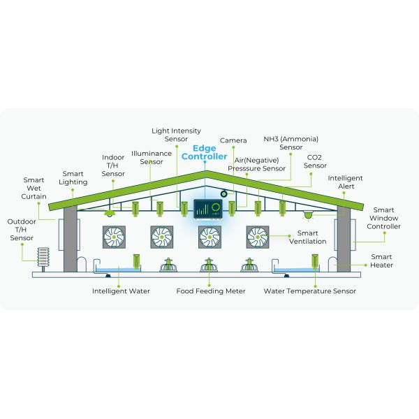 Galvanized Steel Structure Closed Type Environmental Controlled Commercial Chicken House