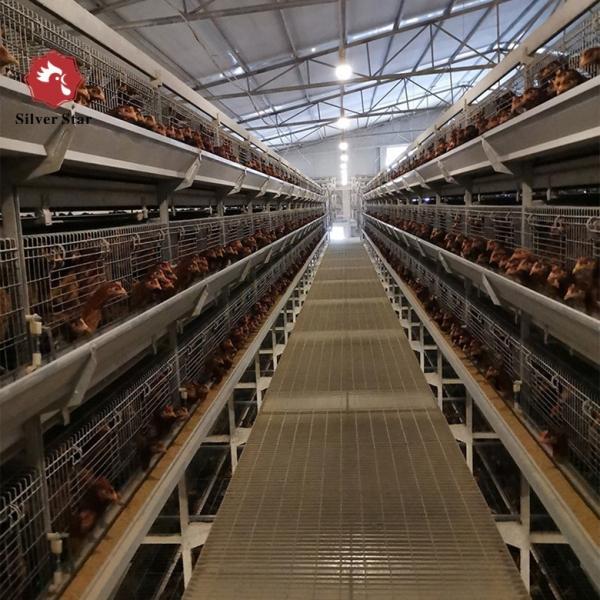 Fully Automatic Egg Layer Chicken Cages H Type 50000 Chickens Poultry Farm 10 Tiers