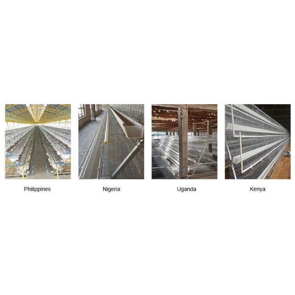Vertical Type Poultry Farm Equipment / Livestock Feed Mill Equipment