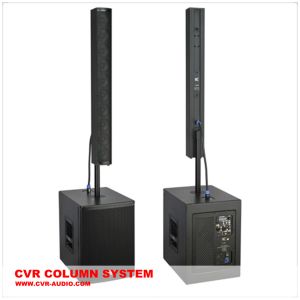 Single 10 Inch Active Line Array Speaker System Birch Plywood