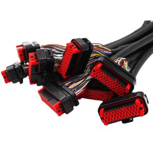 OEM ODM Automotive Wire Harnesses With Amp Connector Equivalent