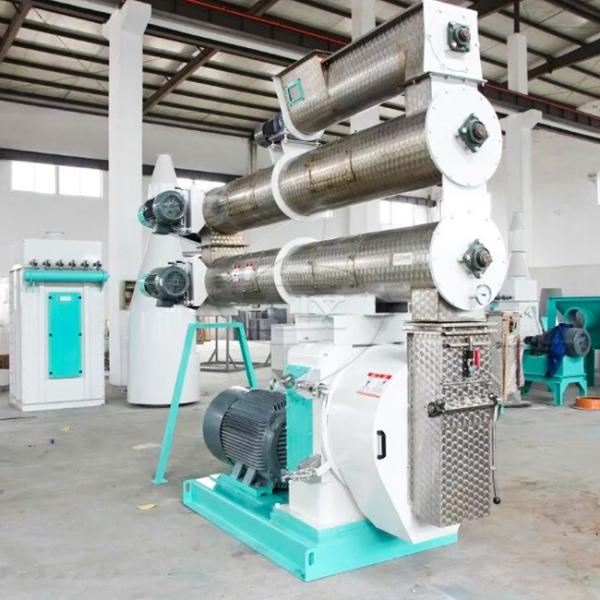 8mm Pellet Size Pig Feed Making Machine For Large And Medium Sized Farms