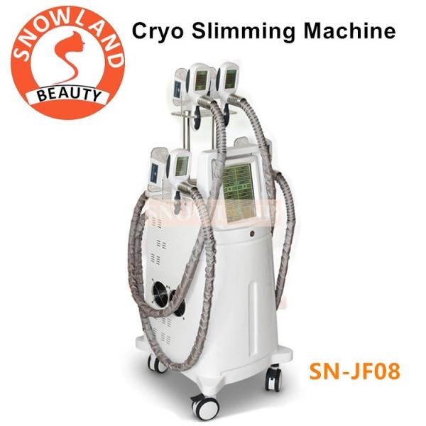 Quality Coolsculpting fat freezing machine cryolipolysis machine with 4 handles for fat removal body slimming for sale