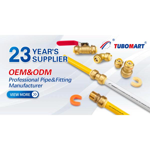 Customized 1/2-1" Hot Sale In America Market Brass Push Fit Quick Connect Fitting Brass Pipe Fitting