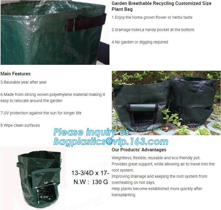 customized waterproof green pe car protector,environmental firendly, car boot liner, reusable, durable,economical,sample