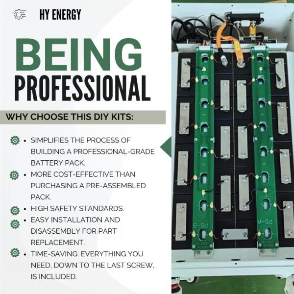 6 inch ARRIVAL (8).jpg