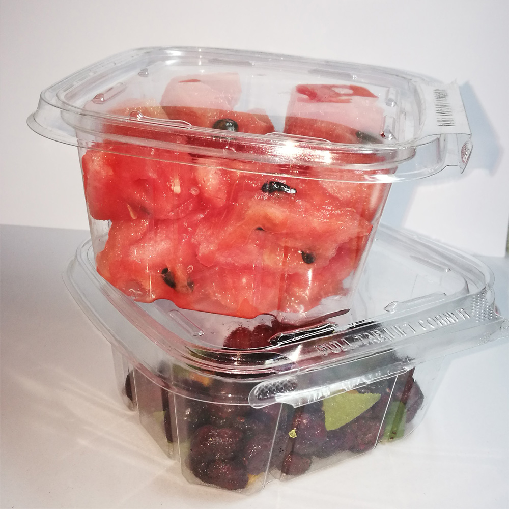 China Supplier Tamper-Resistant Clear Hinged Container with Flat Lid