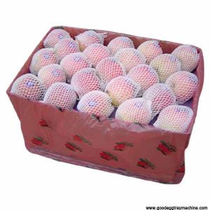 EPE Foam Fruit Net Machine