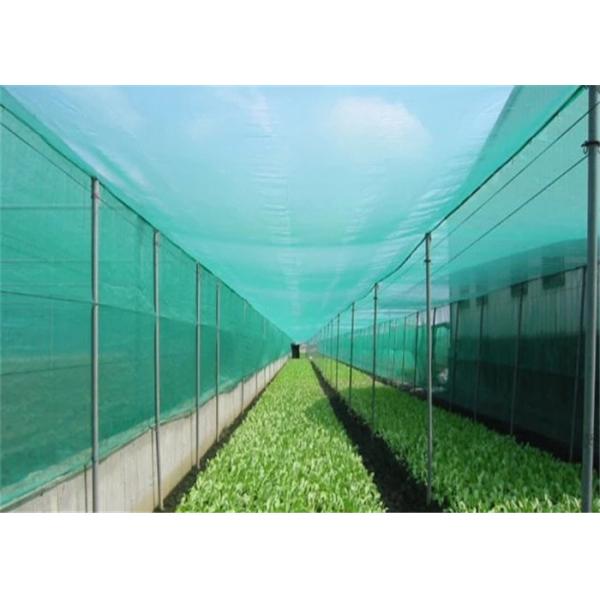 1/6 Plastic Window Screen Mesh Net / 2x30m Wind Block Dust Proof Mesh