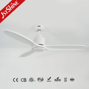 Decorative Dc Motor Odm Remote Led Ceiling Fan White Modern 3 Solid Blade