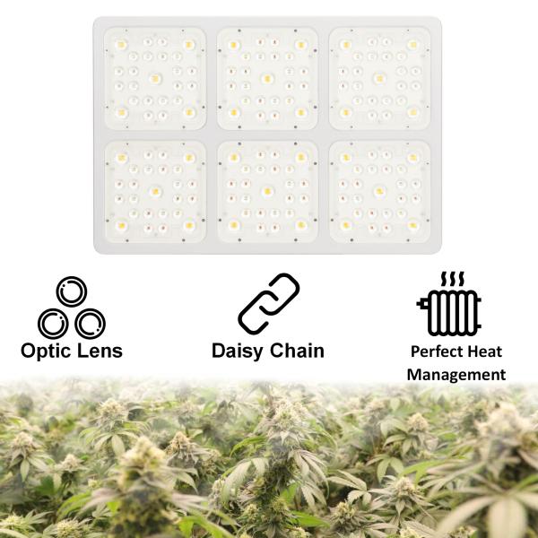 High PPFD 600W LED Grow Light Panel For Small Scale Home Planting