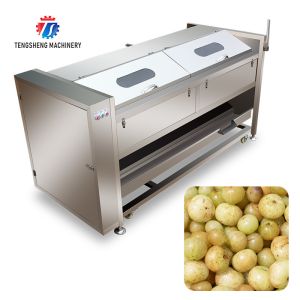 380KG Stainless steel roller cleaning machine, ginger, taro, lotus root,