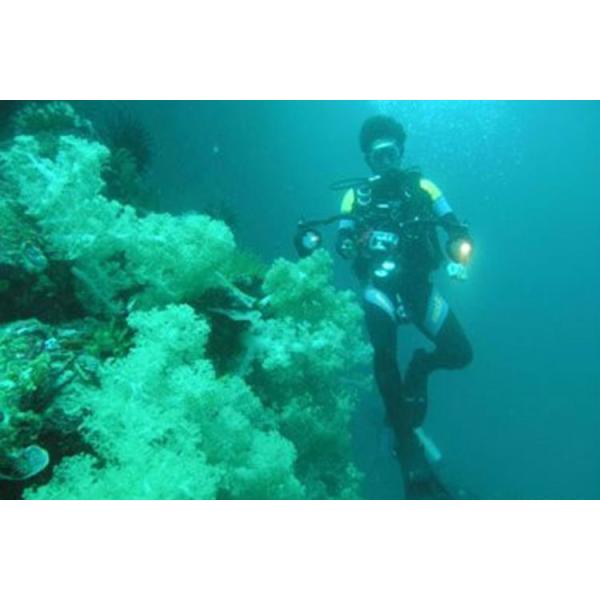 GD31 T6 High Power aluminum dive flashlight