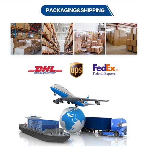 IP65 32A 3 Pole 3 Position Rotary Switch Waterproof IEC Standard