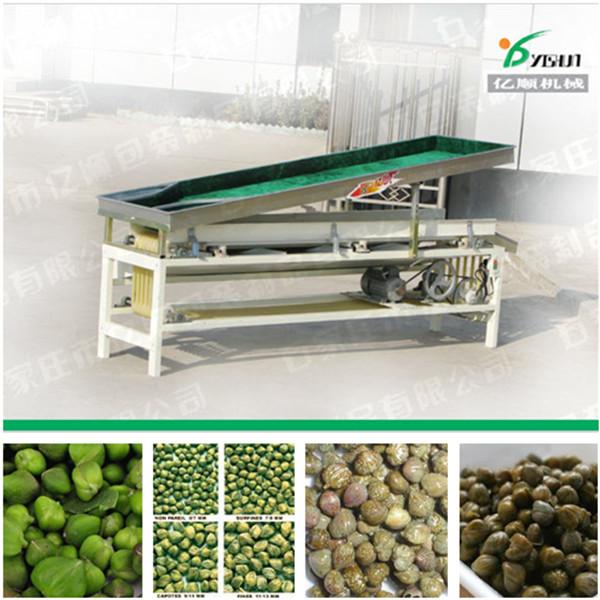Quality Caper size sorter factory price for sale