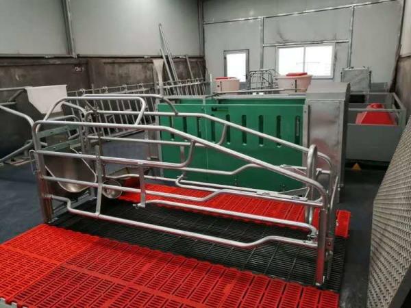 Quality Adjustable Pig Farrowing Crate for sale