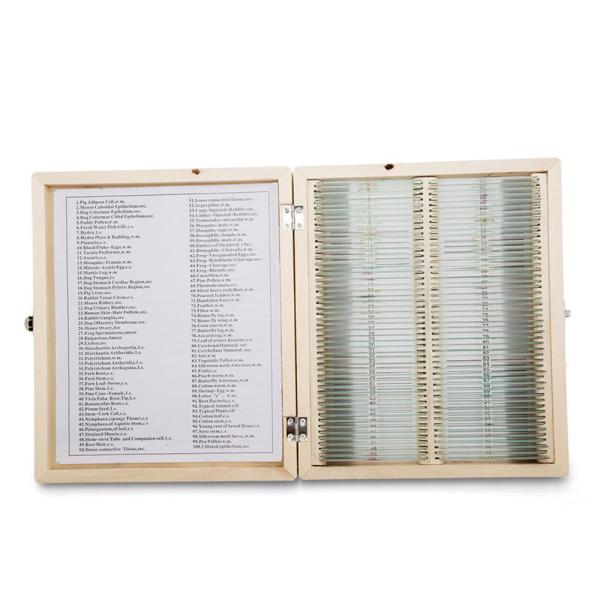 Biology Glass Prepared Specimen Slides 100PCS For Science Basic Animal Plants Insects