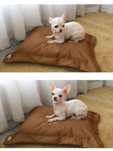 Pillow Shape Shredded Memory Foam Dog Bed with Waterproof Removable Washable Cover