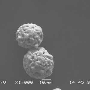 Buy cheap Agglomerated And Sintered Nickel Chromium-Chromium Carbide Powder product