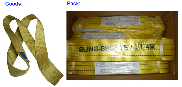 100% Polyester Double Ply Endless Flat Webbing Sling