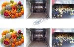 Industrial Juice Processing Equipment Fruit Crusher Machine With Rotating Knife