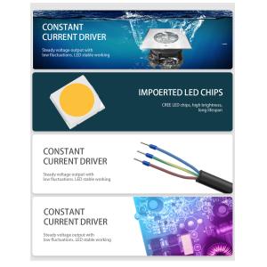 AC100-240V Led Ground Lights SMD3030 SS316L CREE source