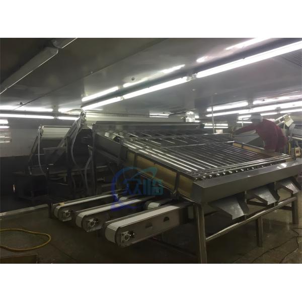 Stable Small Fish Grading Machine Multifunctional 6000x5200x2200mm
