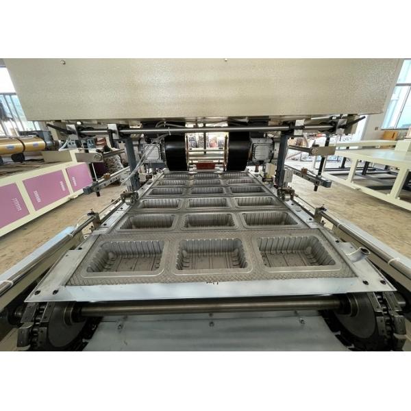 Automatic Pvc Blister Machine Food Take Away Disposable Lunch Box Making Machine