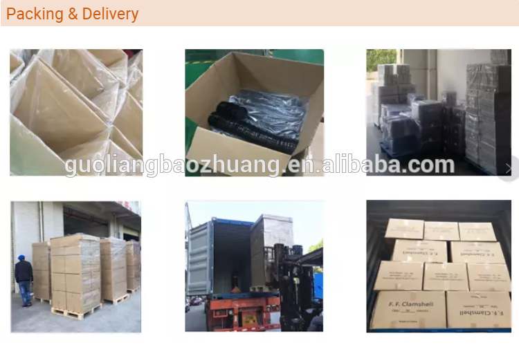 China Supplier Tamper-Resistant Clear Hinged Container with Flat Lid