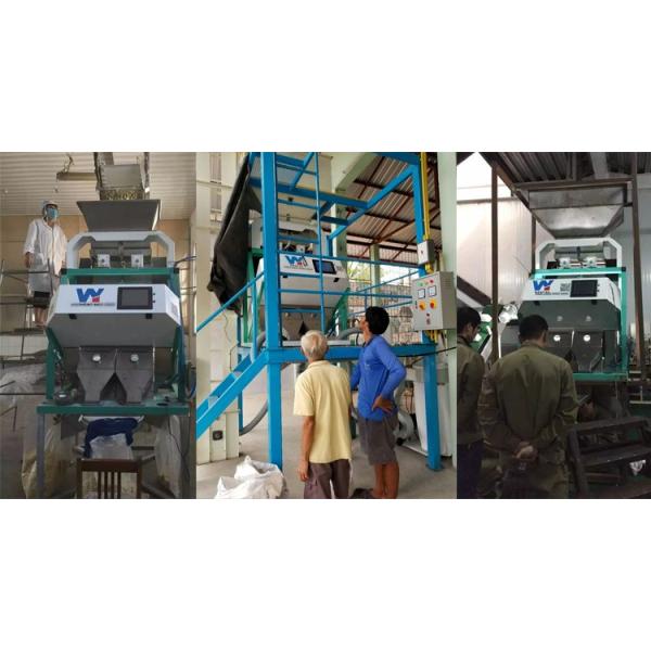 220V / 50Hz Wenyao Color Sorter Machine For Coffee Bean Cherry