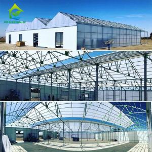 Multispan 28m-50m Length Light Deprivation Greenhouse With Blackout System