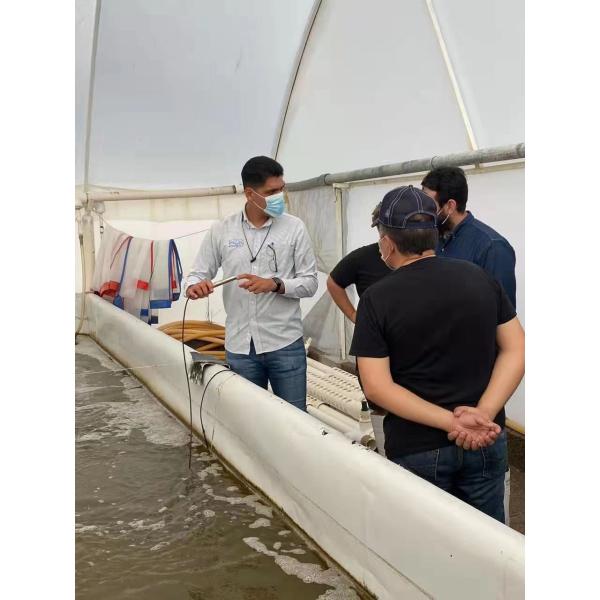 DS380 Wireless Dissolved Oxygen Sensor For Shrimp Farm