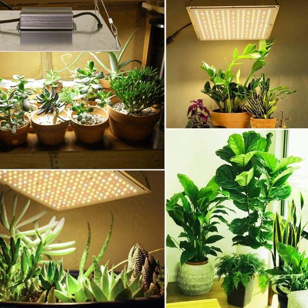 Full Spectrum 2.7umol/J UV LED Grow Lights 120W Waterproof LM301B LED Quantum Panel Board