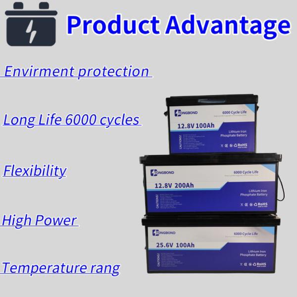 12V LiFePO4 Battery Pack With BMS For Home Energy Storage