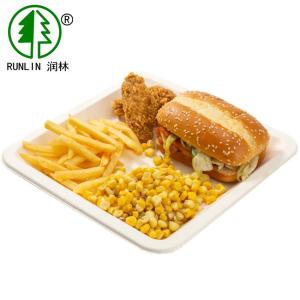 Buy cheap Biodegradable Plant Fiber Molded Pulp Trays With 3 Compartments 10in product