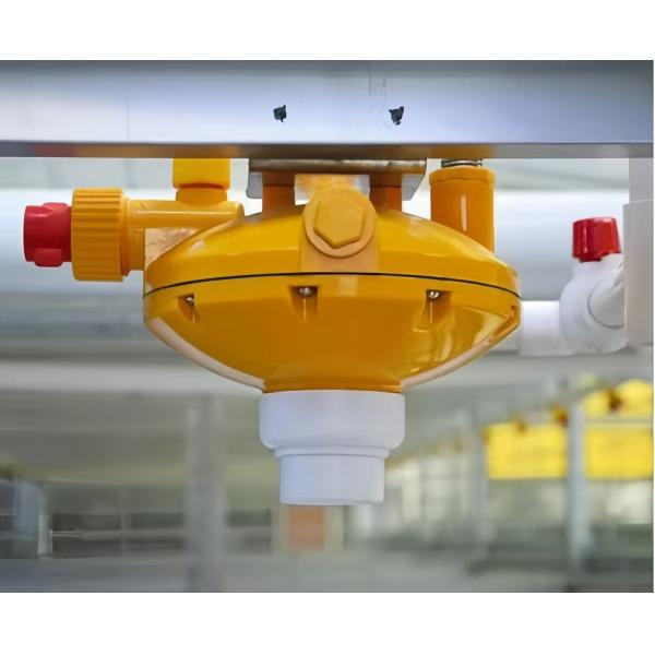 Pull Out Slat Chicken Layer Cages Automatic Harvesting Broiler Battery Cages For Laying Hens