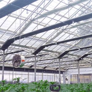 Competitive Automatic Blackout Fabric Control Greenhouse Black Out System Fully