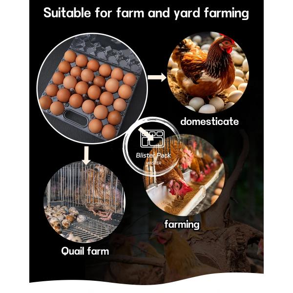 28 Hole Thermoformed Custom Clear PET Plastic Transparent Egg Blister Tray For Chicken Eggs