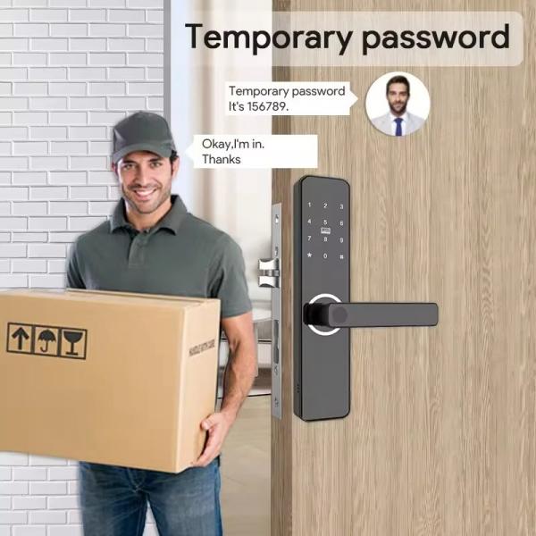 Glass Door Electric Door Knob Keyless-Entry Digital Fingerprint Smart Door Lock with Code Passcode
