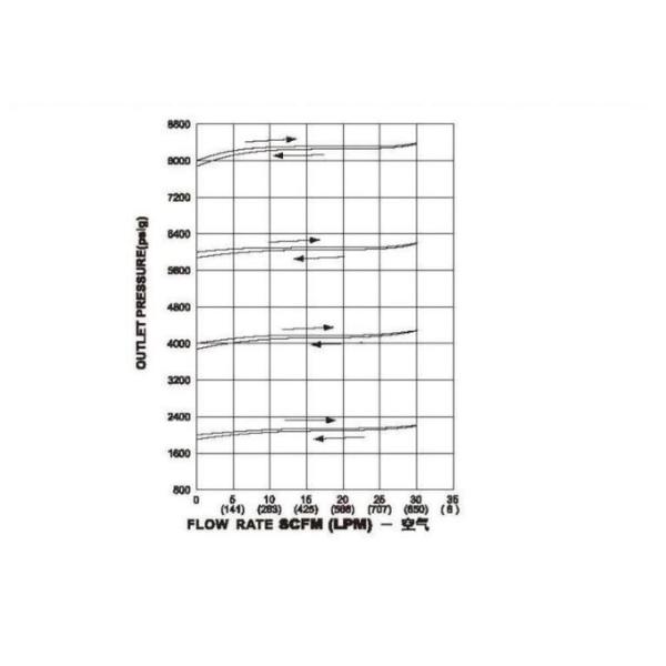 Stainless Steel 1/4NPT 3/8NPT 6000PSI Back Pressure Valve High Pressure
