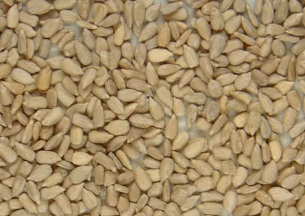 Intelligent Sunflower Seed Color Sorter Machine With Led Light Source