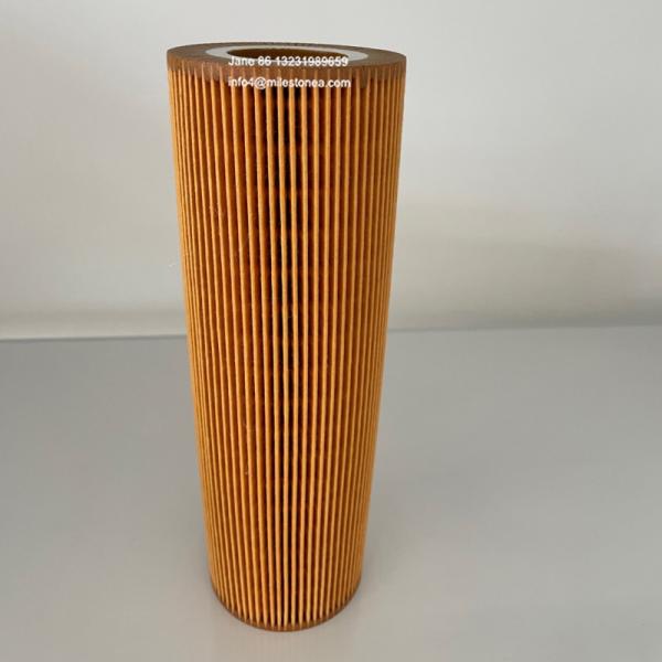 Truck Oil Filter Element 2022275 2037556 HU1077/1X E123HD194 LF17486