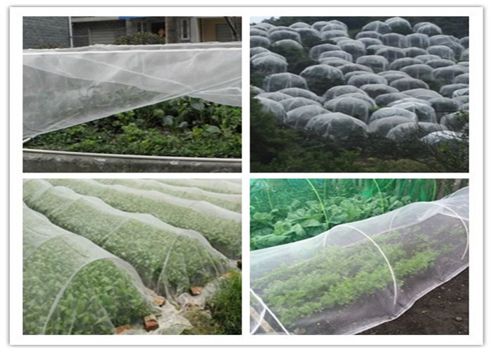 Horticulture Hdpe Fly Screen Mesh Agriculture Growing Insect Proof Network 40 Mesh