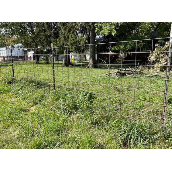 Welded Wire Cattle Fence Solid Structure Durable Life