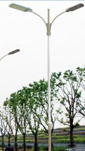 China fiberglass lighting pole flag pole on sale