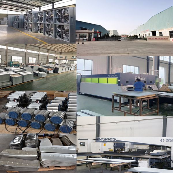 Hot Sales High Quality 54 Inch Exhaust Fan for Greenhouse or Poultry Farm or Pig House From China