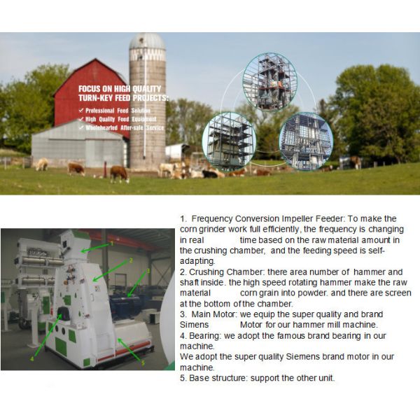 SFSP Type Feed Grain Hammer Mill Machine Industrial Grinding Mill Machine